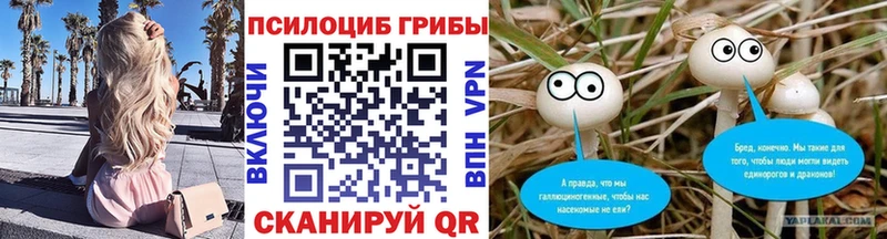 Галлюциногенные грибы GOLDEN TEACHER  как найти   Таруса 